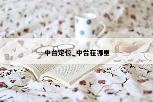 中台定位_中台在哪里