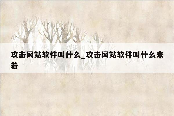 攻击网站软件叫什么_攻击网站软件叫什么来着