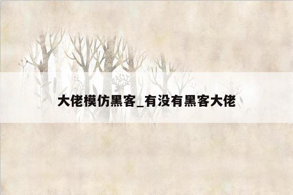 大佬模仿黑客_有没有黑客大佬