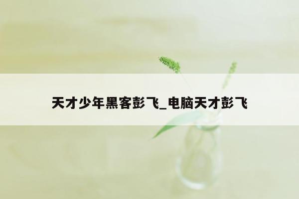 天才少年黑客彭飞_电脑天才彭飞
