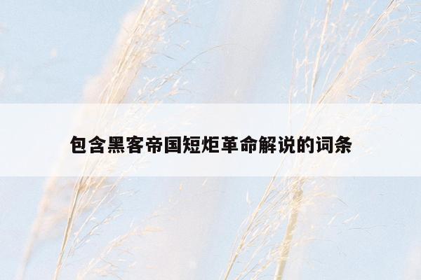 包含黑客帝国短炬革命解说的词条