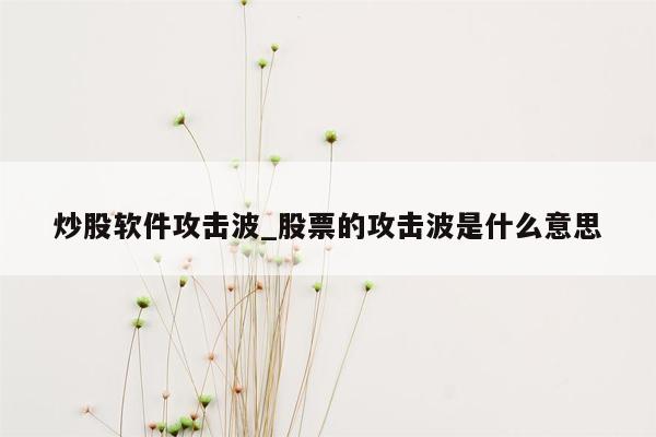 炒股软件攻击波_股票的攻击波是什么意思