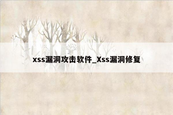 xss漏洞攻击软件_Xss漏洞修复