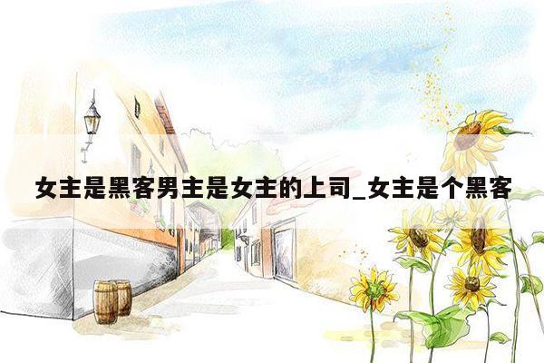 女主是黑客男主是女主的上司_女主是个黑客