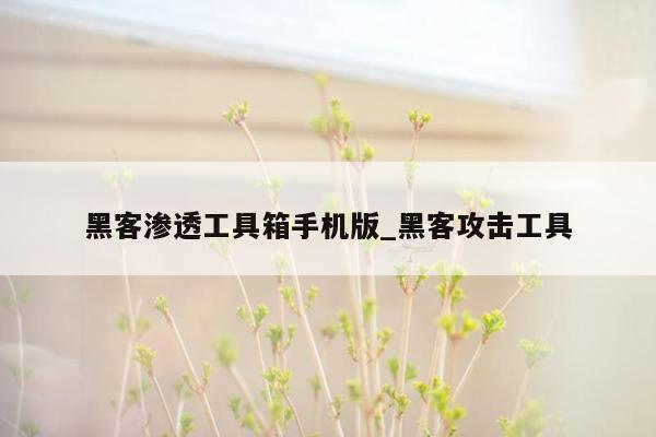 黑客渗透工具箱手机版_黑客攻击工具