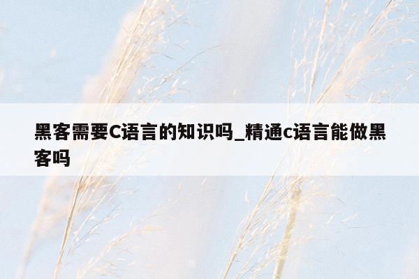 黑客需要C语言的知识吗_精通c语言能做黑客吗
