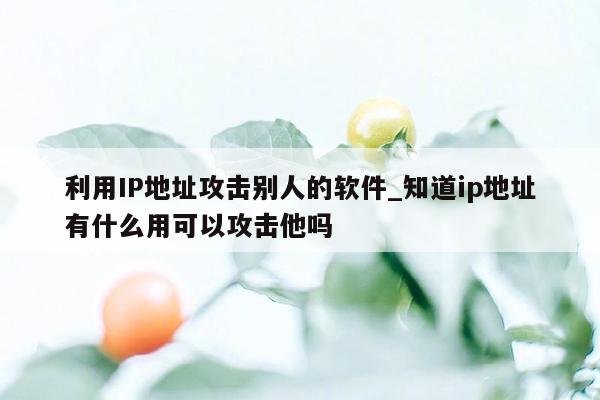 利用IP地址攻击别人的软件_知道ip地址有什么用可以攻击他吗