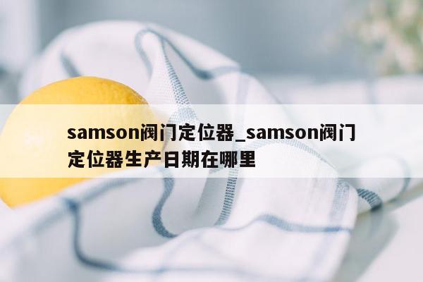 samson阀门定位器_samson阀门定位器生产日期在哪里