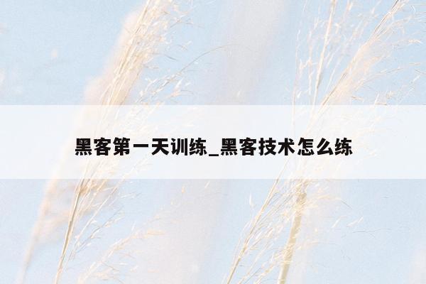 黑客第一天训练_黑客技术怎么练