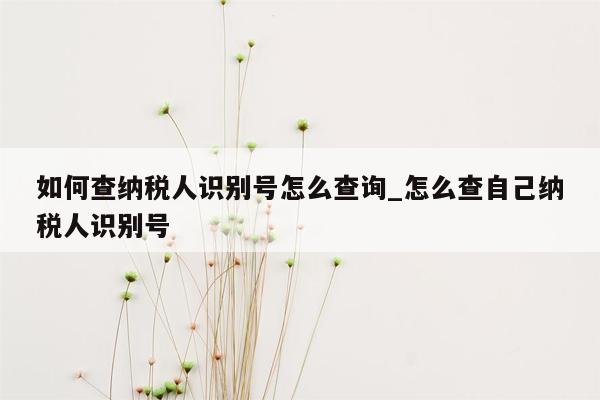 如何查纳税人识别号怎么查询_怎么查自己纳税人识别号