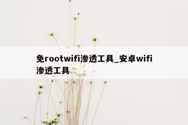免rootwifi渗透工具_安卓wifi渗透工具