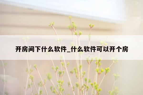 开房间下什么软件_什么软件可以开个房