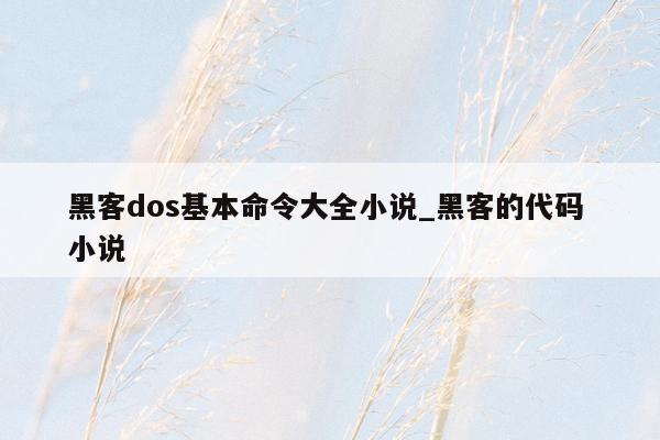 黑客dos基本命令大全小说_黑客的代码 小说