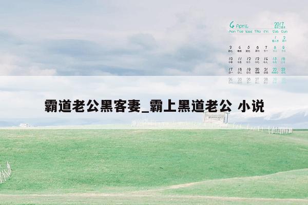 霸道老公黑客妻_霸上黑道老公 小说
