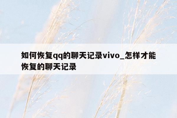 如何恢复qq的聊天记录vivo_怎样才能恢复的聊天记录