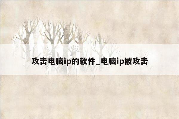 攻击电脑ip的软件_电脑ip被攻击