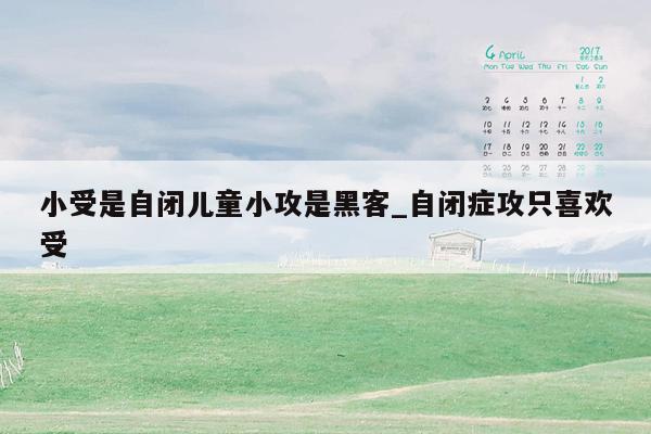 小受是自闭儿童小攻是黑客_自闭症攻只喜欢受