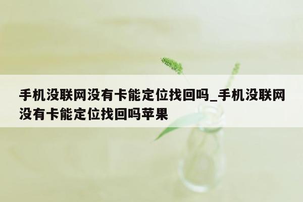 手机没联网没有卡能定位找回吗_手机没联网没有卡能定位找回吗苹果