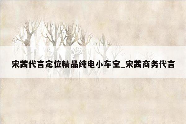 宋茜代言定位精品纯电小车宝_宋茜商务代言