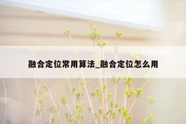 融合定位常用算法_融合定位怎么用