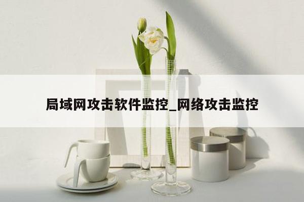 局域网攻击软件监控_网络攻击监控