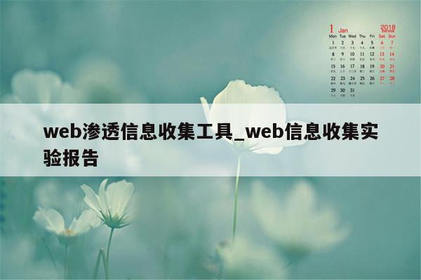 web渗透信息收集工具_web信息收集实验报告