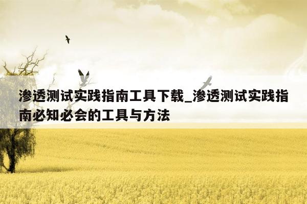 渗透测试实践指南工具下载_渗透测试实践指南必知必会的工具与方法