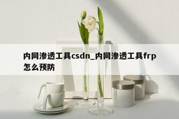 内网渗透工具csdn_内网渗透工具frp怎么预防