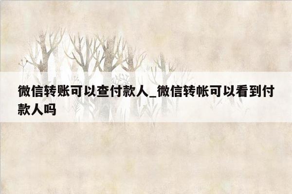 微信转账可以查付款人_微信转帐可以看到付款人吗