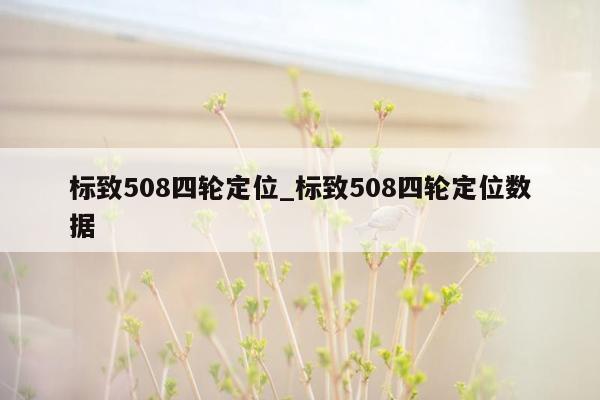 标致508四轮定位_标致508四轮定位数据
