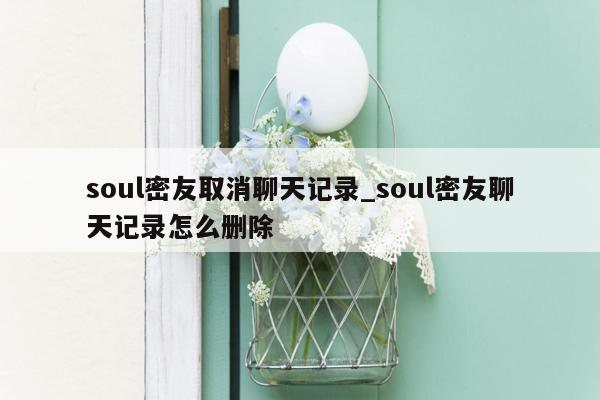 soul密友取消聊天记录_soul密友聊天记录怎么删除