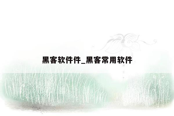 黑客软件件_黑客常用软件