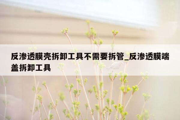 反渗透膜壳拆卸工具不需要拆管_反渗透膜端盖拆卸工具