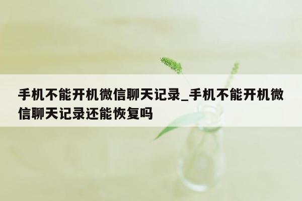 手机不能开机微信聊天记录_手机不能开机微信聊天记录还能恢复吗