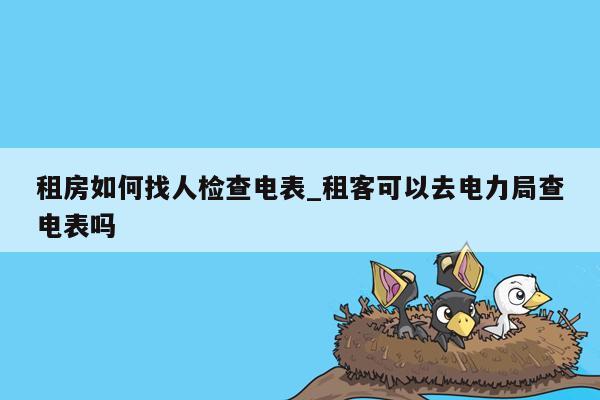 租房如何找人检查电表_租客可以去电力局查电表吗