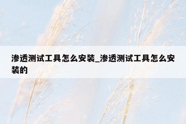 渗透测试工具怎么安装_渗透测试工具怎么安装的