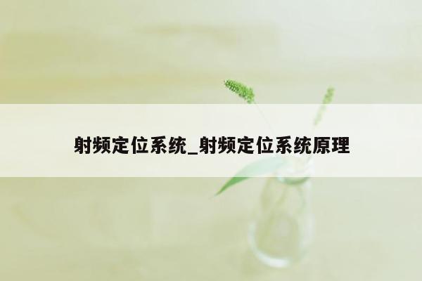 射频定位系统_射频定位系统原理