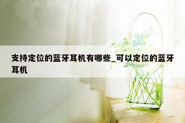 支持定位的蓝牙耳机有哪些_可以定位的蓝牙耳机