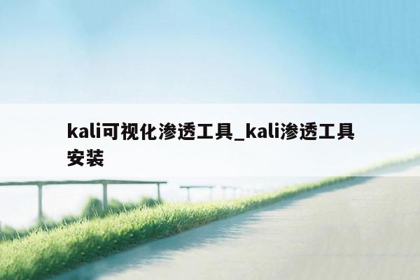 kali可视化渗透工具_kali渗透工具安装