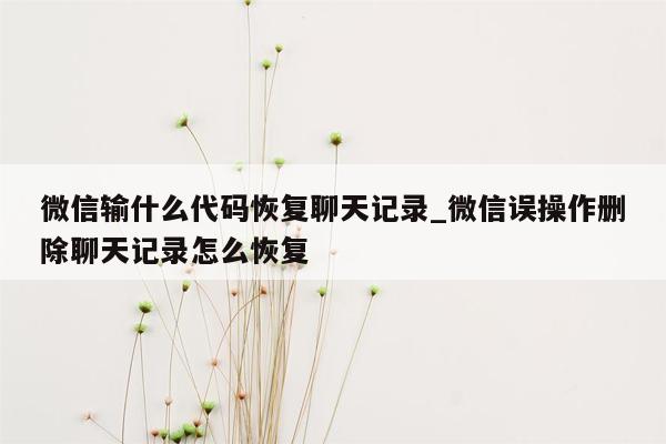 微信输什么代码恢复聊天记录_微信误操作删除聊天记录怎么恢复