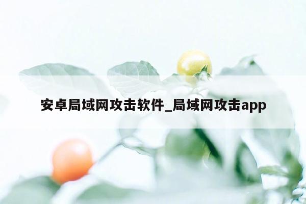 安卓局域网攻击软件_局域网攻击app