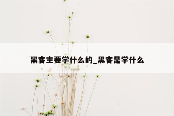 黑客主要学什么的_黑客是学什么