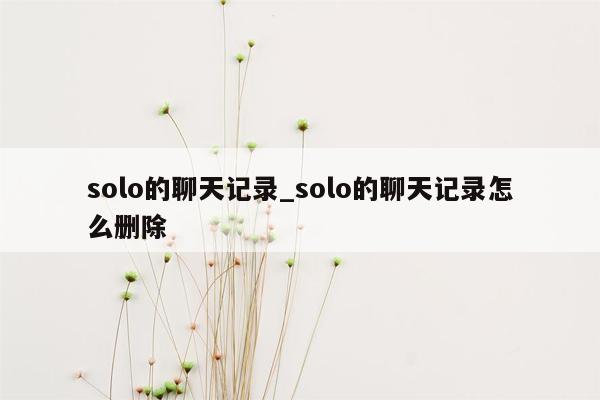 solo的聊天记录_solo的聊天记录怎么删除