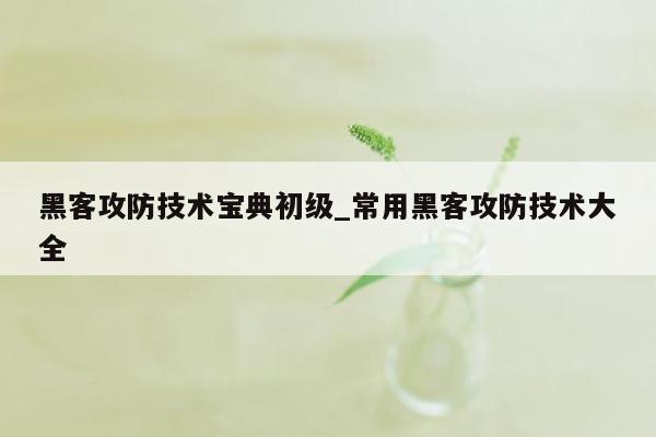 黑客攻防技术宝典初级_常用黑客攻防技术大全