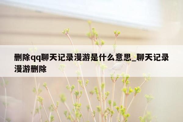 删除qq聊天记录漫游是什么意思_聊天记录漫游删除