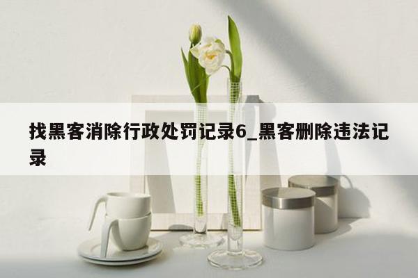 找黑客消除行政处罚记录6_黑客删除违法记录