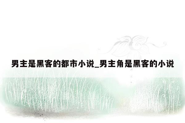 男主是黑客的都市小说_男主角是黑客的小说