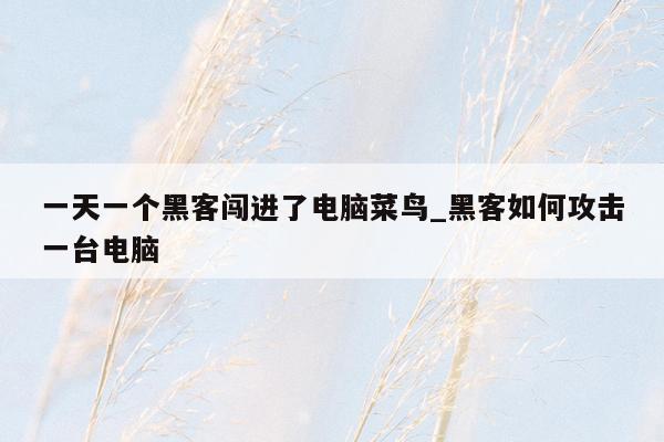 一天一个黑客闯进了电脑菜鸟_黑客如何攻击一台电脑