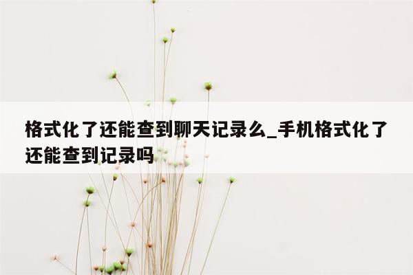 格式化了还能查到聊天记录么_手机格式化了还能查到记录吗