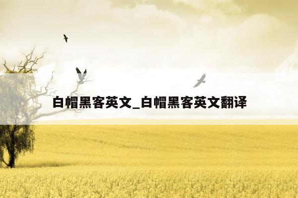 白帽黑客英文_白帽黑客英文翻译